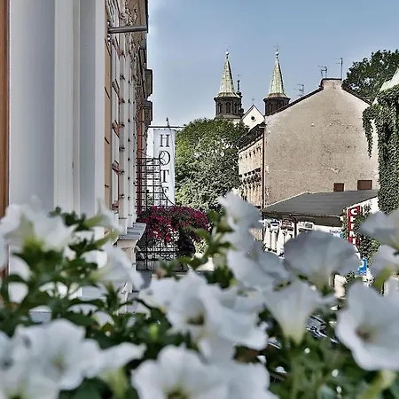 Hotel Amber Boutique - Amber